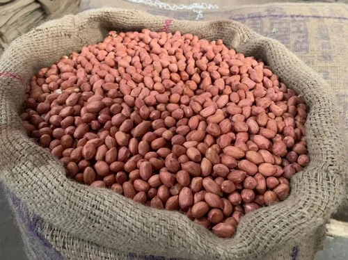 Bold Ground Nut Kernel